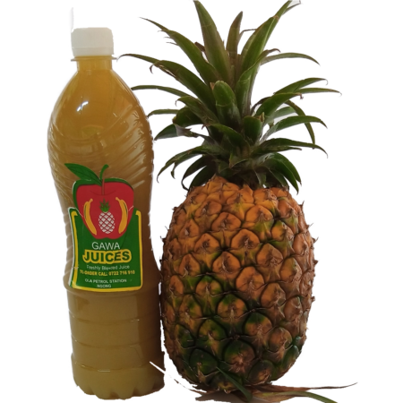 Pineapple Coconut Juice